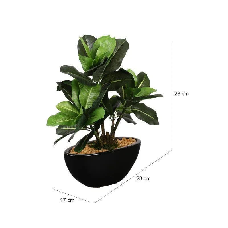 Faux Quercus Bonsai In Bowl Black Plastic Pot (29 cms) - Green media 4