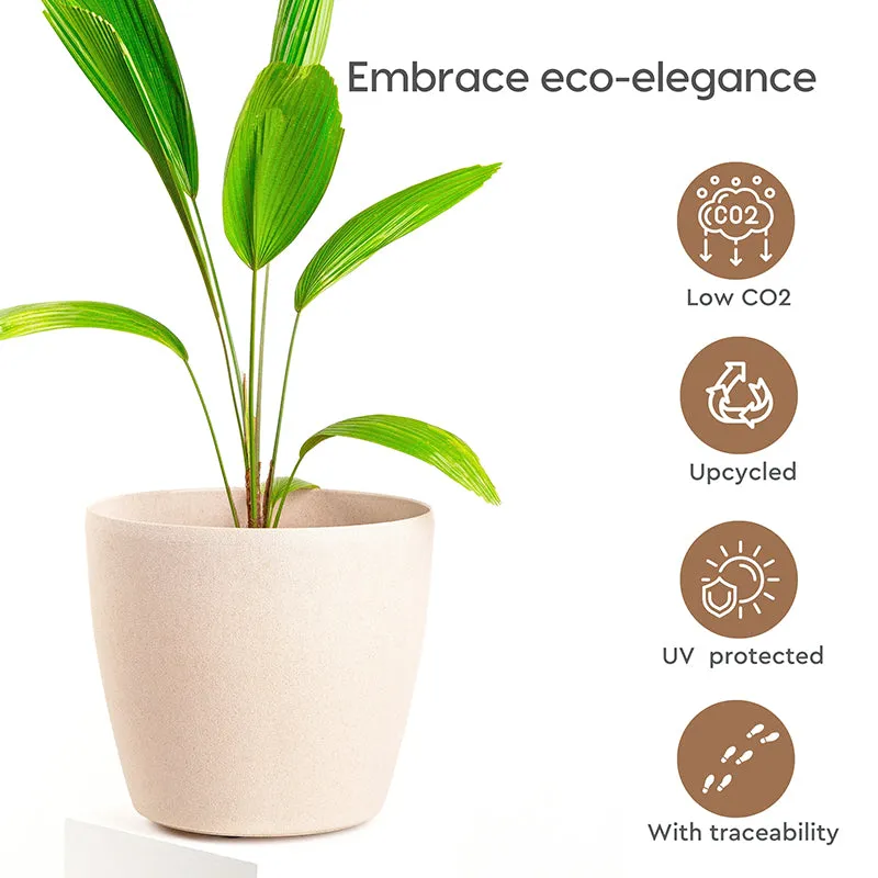 Natura Niche Self-Watering Planter - Set Of Two media 5