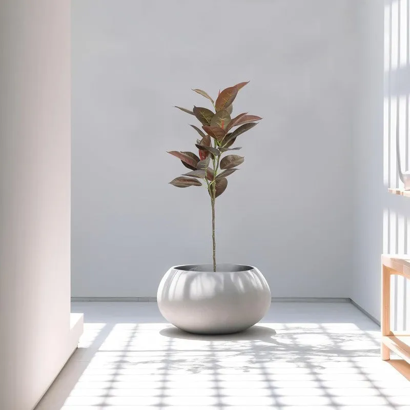 CozyFlora Artificial Rubber Plant With Black Plastic Pot - 2.5 Feet media 5