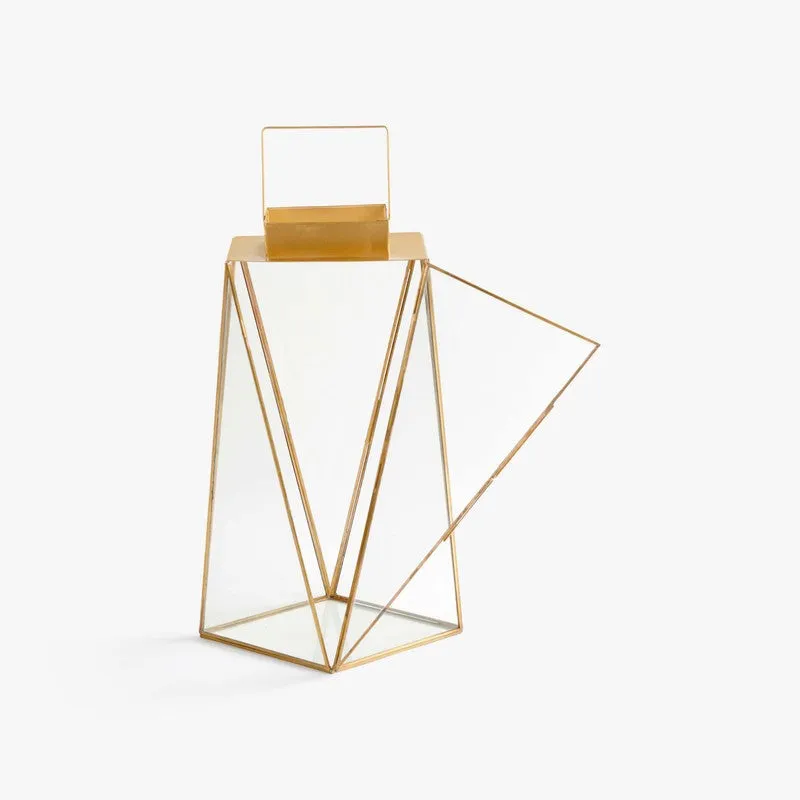 Orange Tree Alex Lantern media 3