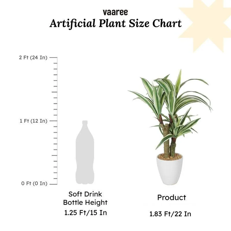 Faux Dracaena Bonsai In White Pot (55 cms) - Short media 6