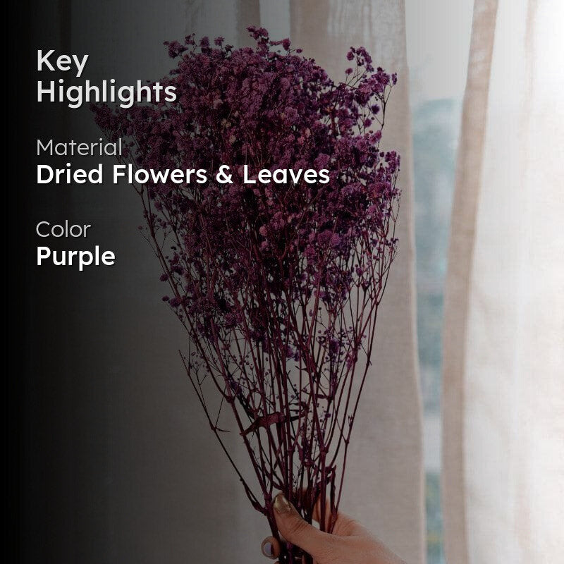 Naturally Dried Baby Breath Gypsophila Stems (Purple) - Set Of Five media 2