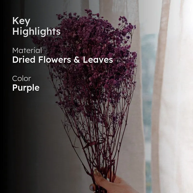 Naturally Dried Baby Breath Gypsophila Stems (Purple) - Set Of Five media 2