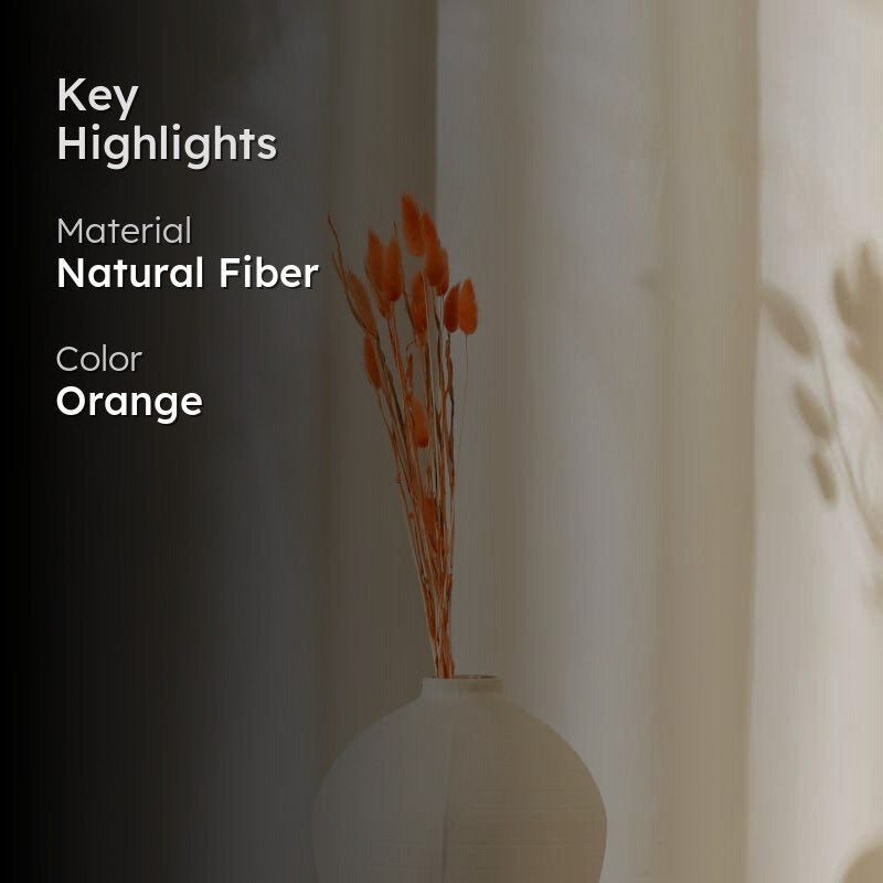 Bunny Tail Ornamental Grass (60 cms) - Orange media 2