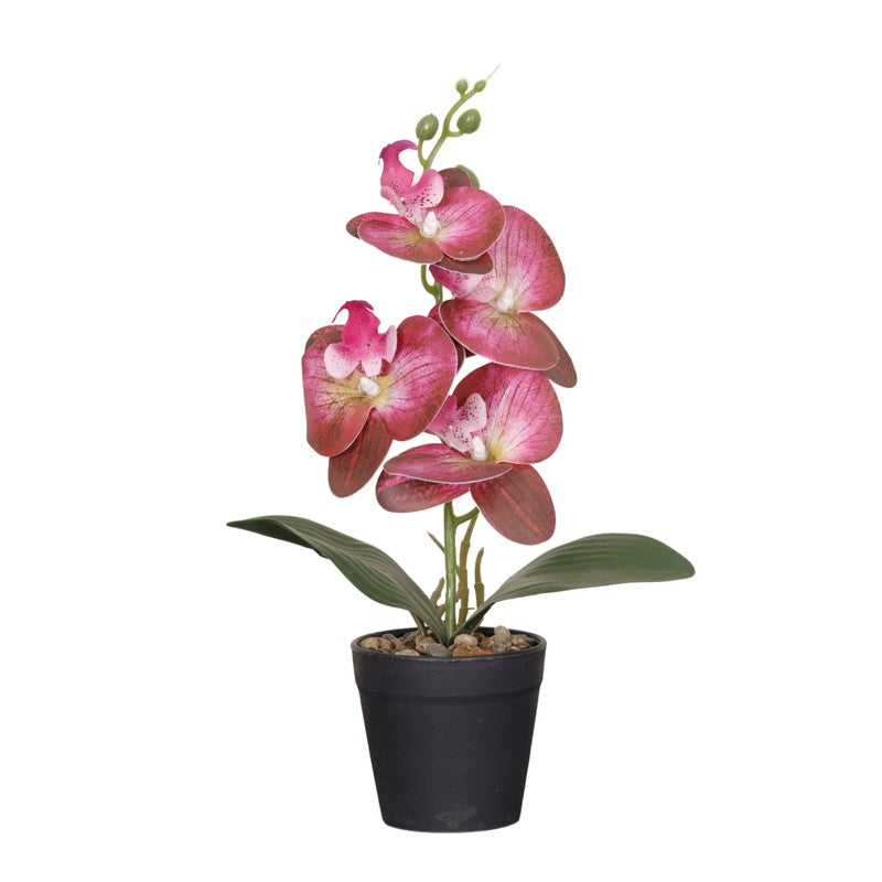 Artificial Dark Purple Orchid Flower Plant With Black Fiber Pot - 1 Feet media 6