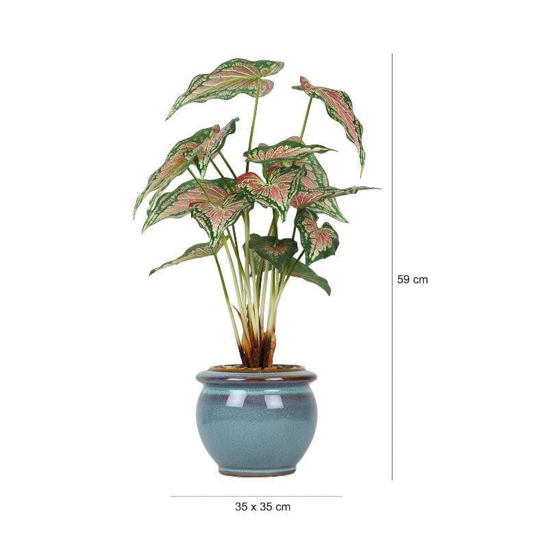 Faux Caladium Bonsai In Ceramic Pot (59 cms) - Turquoise media 4