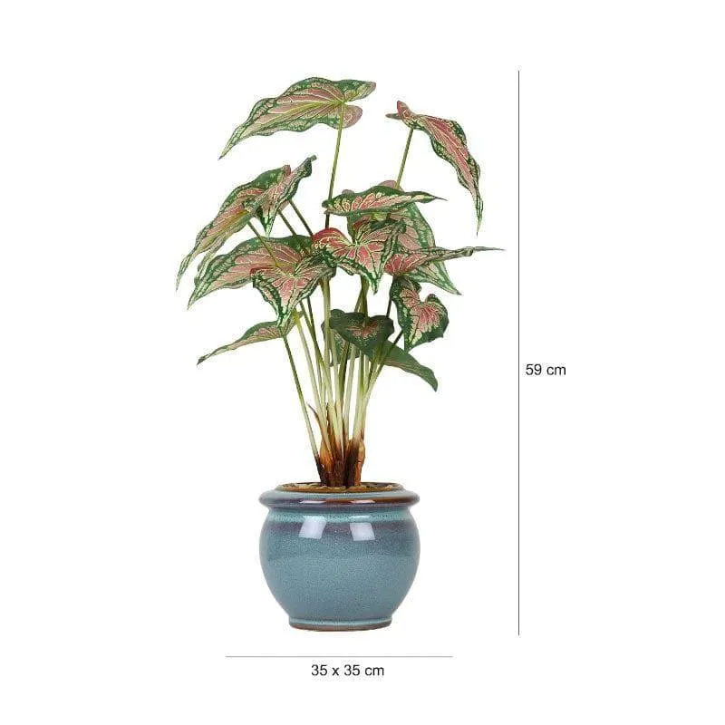 Faux Caladium Bonsai In Ceramic Pot (59 cms) - Turquoise media 4