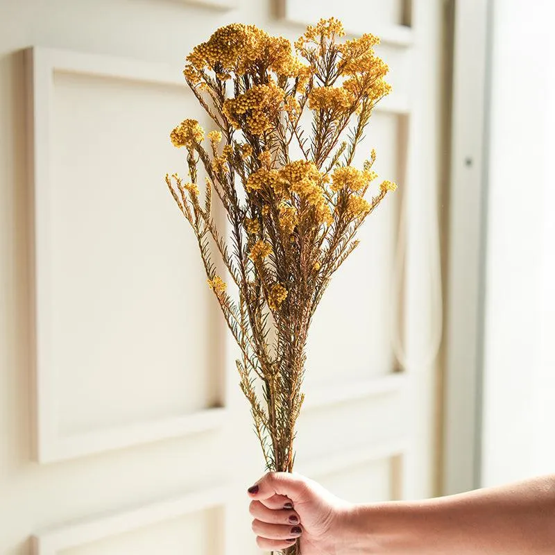 Artificial Rice Flower Stem (Yellow) - Set Of Three media 1