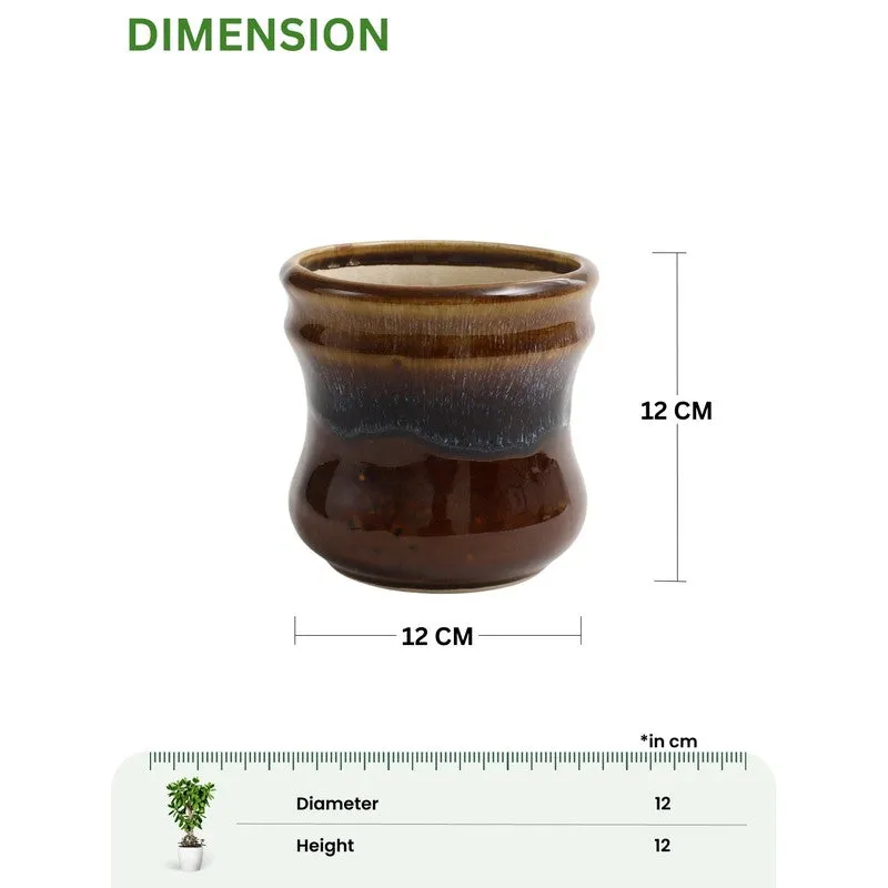 VelourVista Pots Brown - Set Of Two media 11