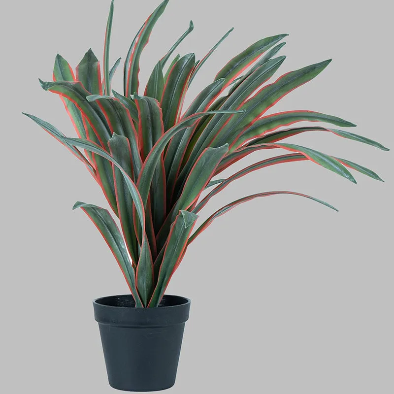 Cordia Artificial Cordyline Plant With Black Plastic Pot - 1.8 Feet media 6