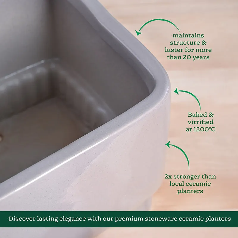 Ugaoo Sleepy Sprout Square Ceramic Planter - Light Grey media 6