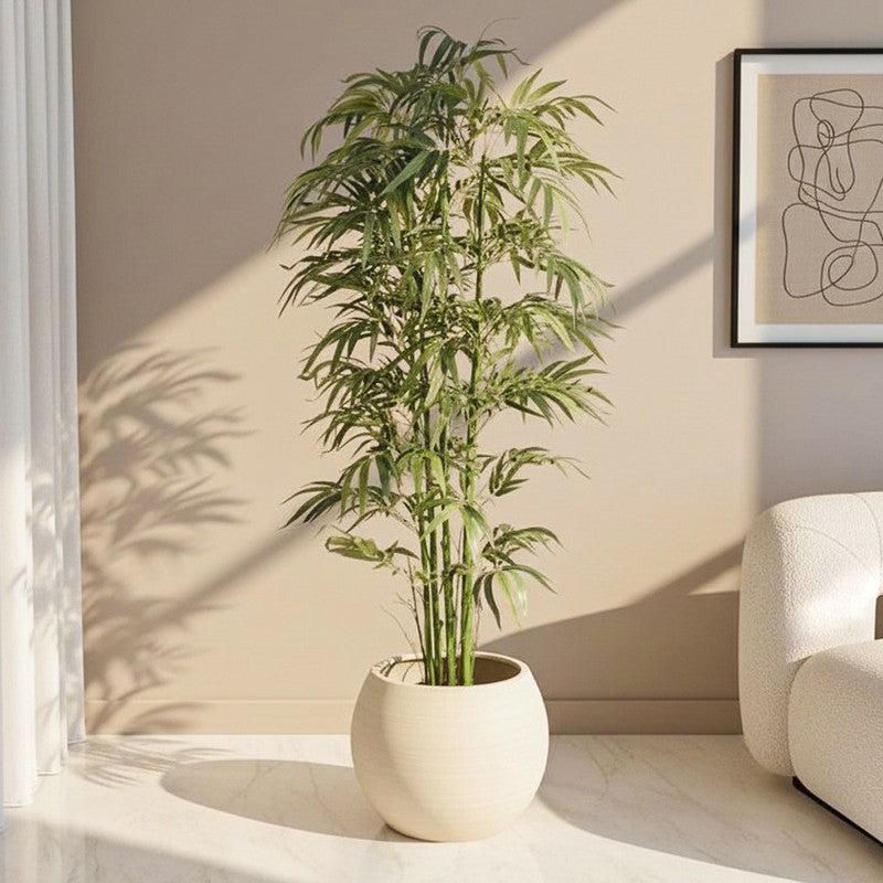 NatureNest Artificial Plant With Black Plastic Pot - 6.9 ft