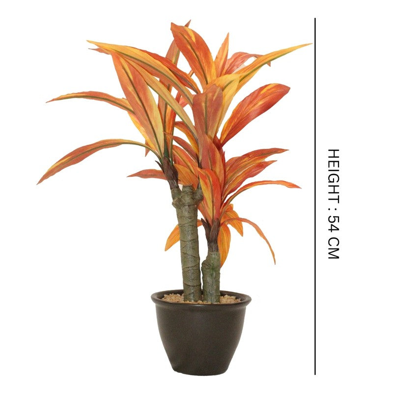 Artificial Orange Dracaena Bonsai Plant With White Ceramic Pot - 1.8 Feet media 5