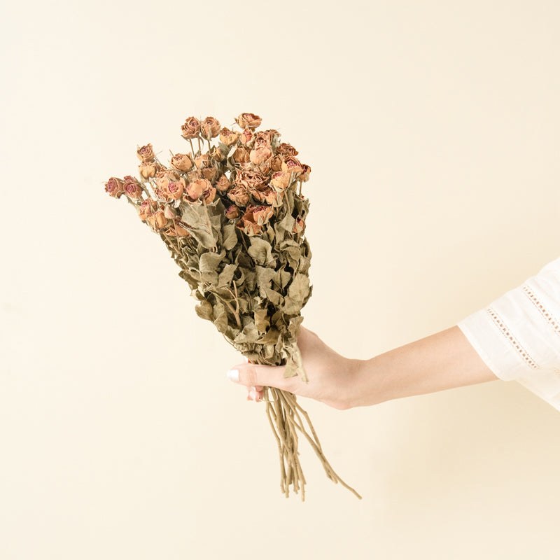 Dried Flowers & Leaves