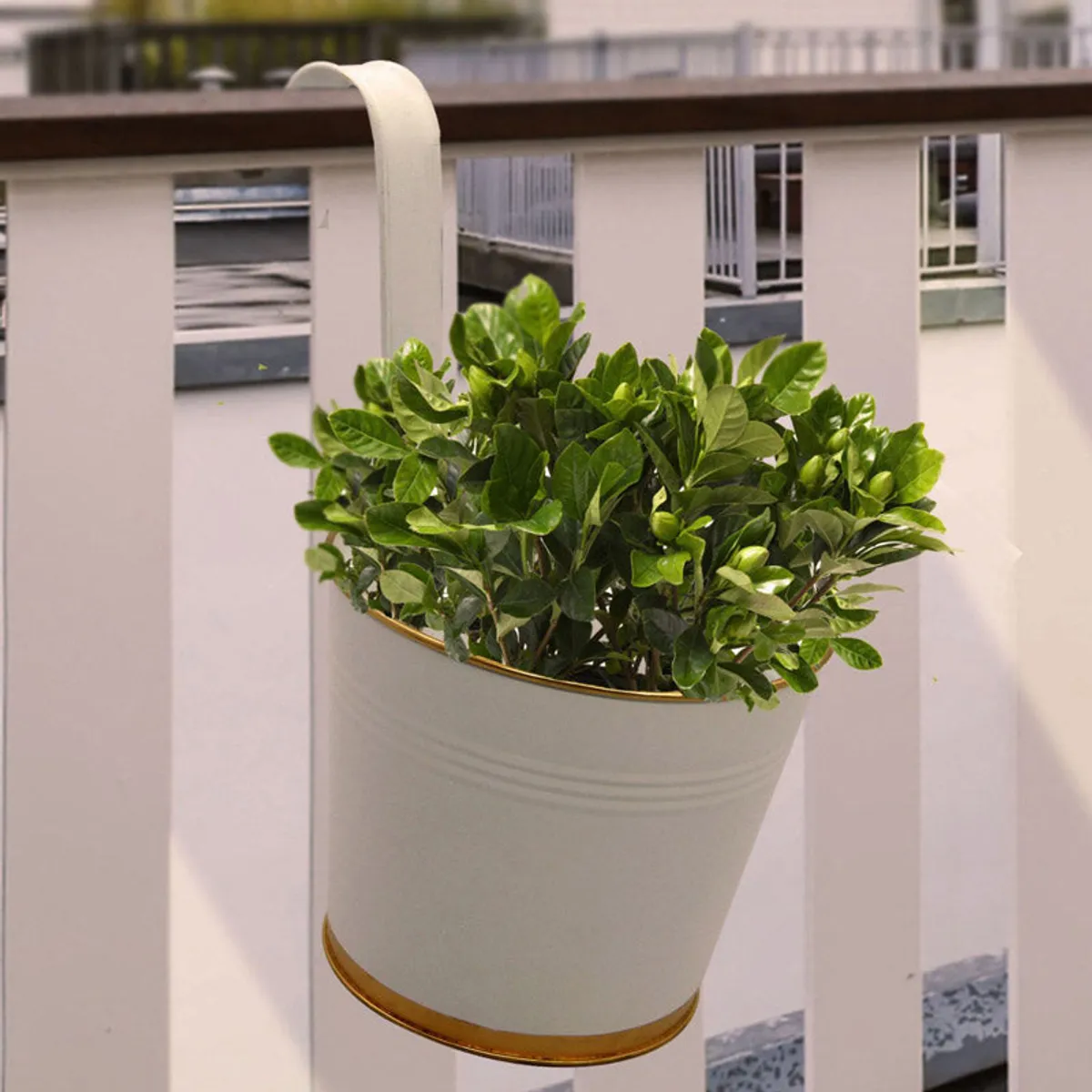 White and gold hanging planter with leafy green foliage on a balcony