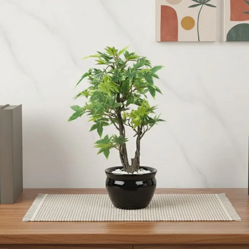 Artificial Green Bonsai Plant With Ceramic Pot - 1 Feet media 1