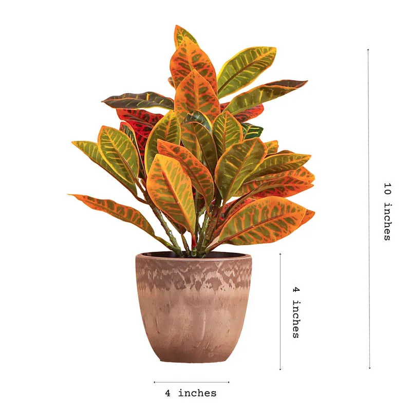 Artificial Garden Croton Plant With Black Plastic Pot (Set Of Two) - 1 Feet media 5
