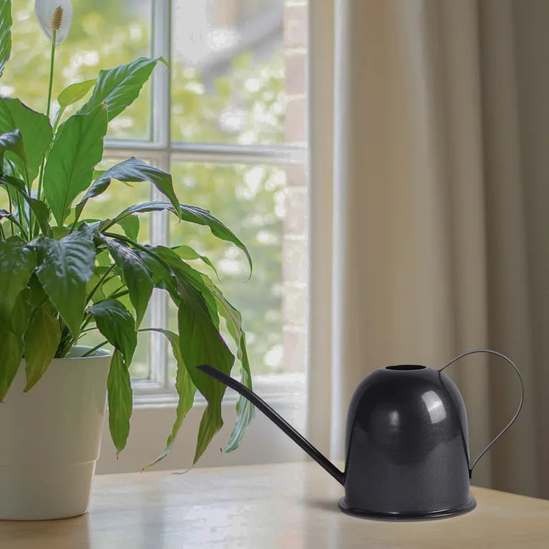 Spry Metal Watering Can media 4