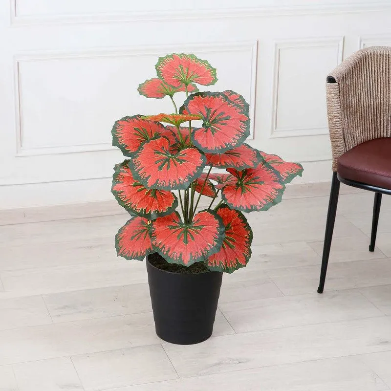 GreenGlow Begonia Artificial Plant Without Pot - 2.3 Feet media 2