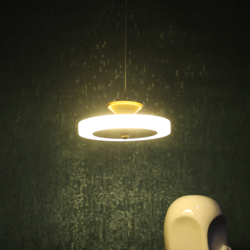 Lunoria Acrylic & Iron Ceiling Lamp - White & Gold