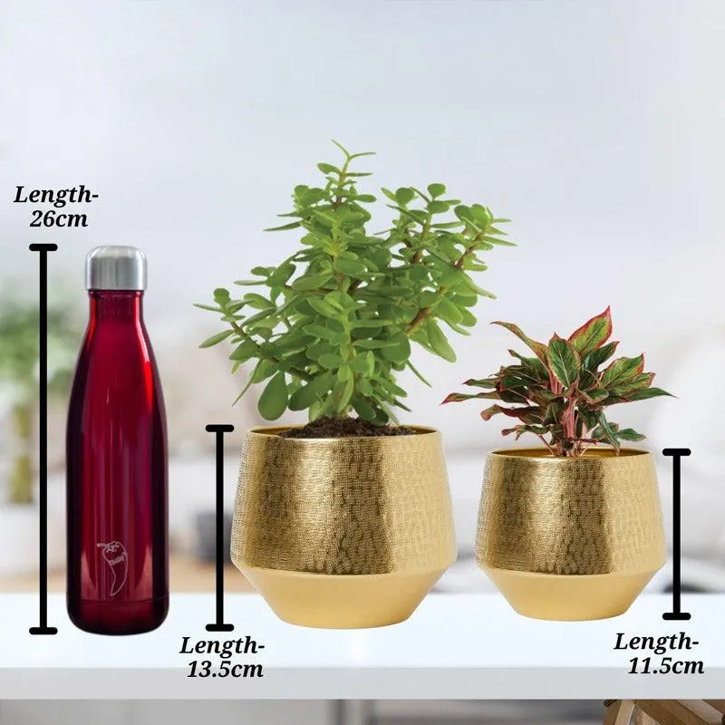 Arrota Gold Planter - Set Of Two media 4