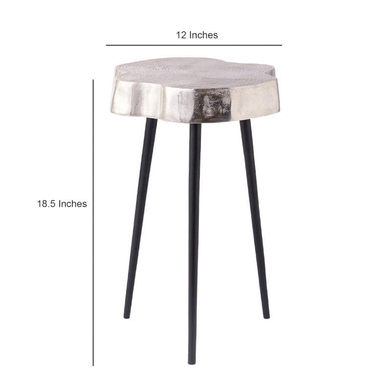 Kora Aluminium Accent Table - Silver media 5