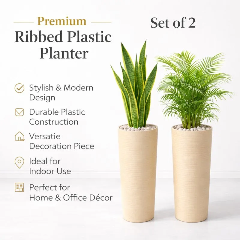 Root Aura Planters - Set Of Two media 6