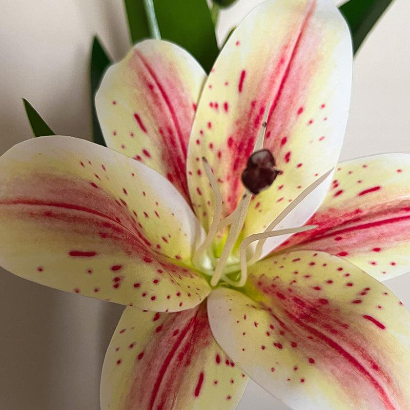 Faux Everlasting Lily Flower Stick - Beige media 3