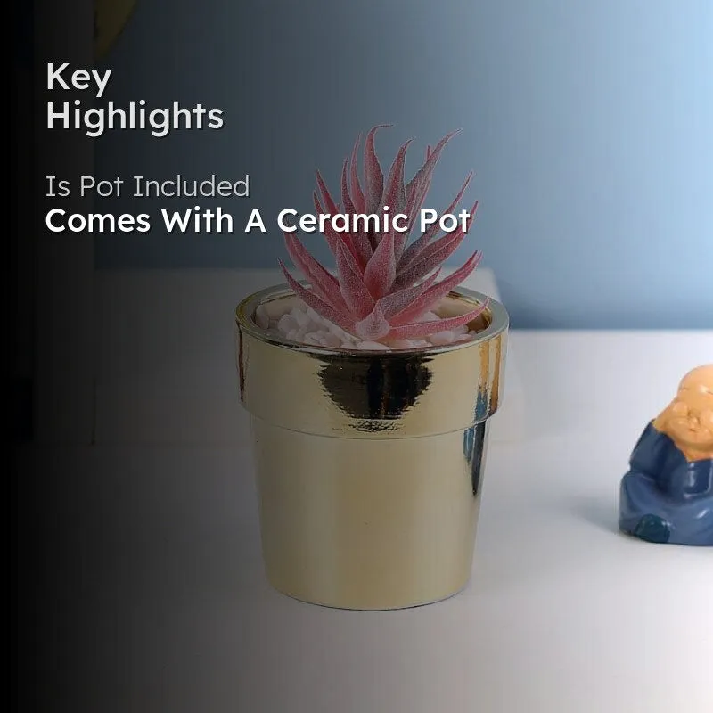 Faux Pink Agave In Ceramic Pot - 16.5 cms media 2
