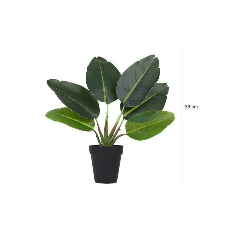Faux Banana Palm Bonsai In Black Plastic Pot (36 cms) - Small media 5