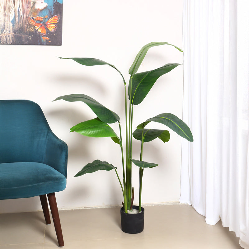 Verdiq Artificial Banana Plant With Black Plastic Pot - 5.2 Feet media 3