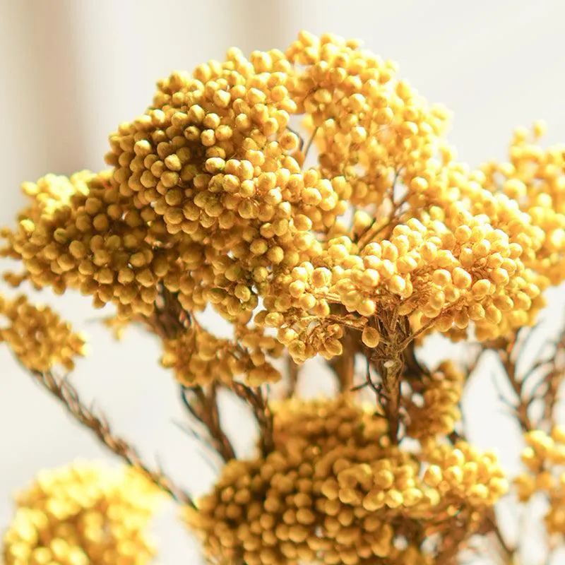 Artificial Rice Flower Stem (Yellow) - Set Of Three media 5