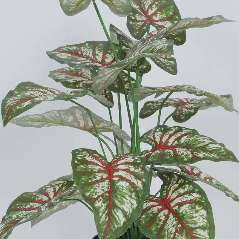 Calena Artificial Caladium With Black Plastic Pot - 2.3 Feet media 5