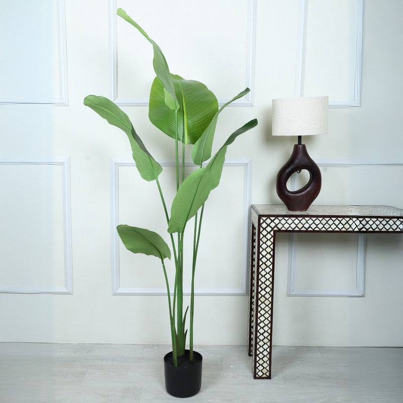 Artificial Calathea Plant With Black Fiber Pot - 5.2 Feet media 3