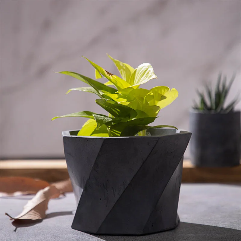 Dycto Swirl Planter media 2
