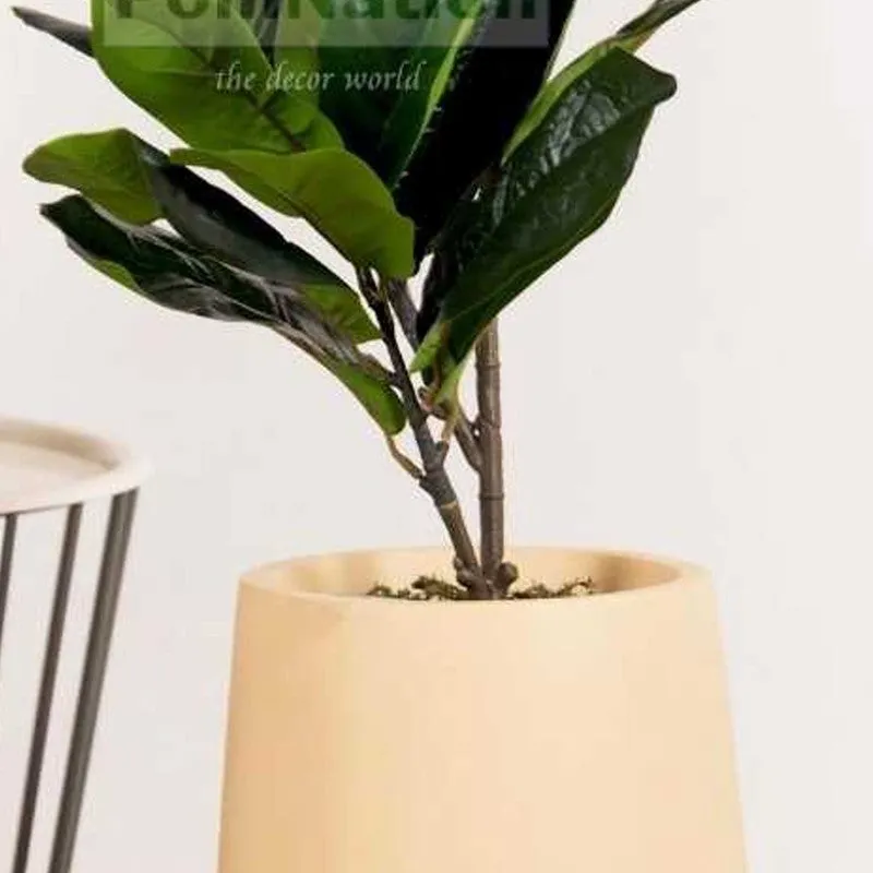 Artificial Small Rubber Plant Without Pot - 2.2 Feet media 3