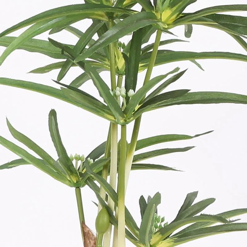 Faux Cyperus Bonsai In Ceramic Pot - 38 cms media 3