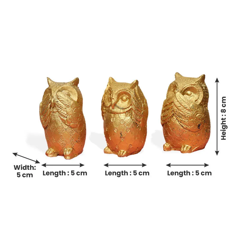 Wise Hoot Showpiece media 7