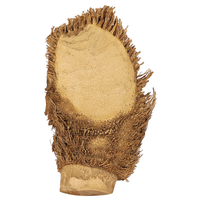 Roots of Buddha Bamboo Showpiece media 4