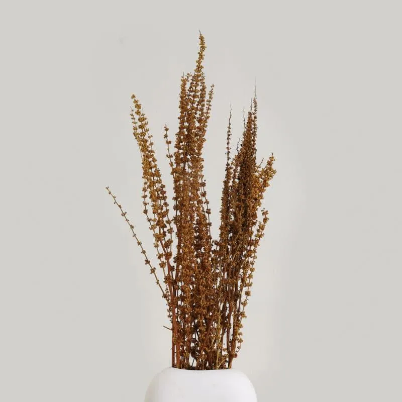 Plato Lavender Dried Palm Grass Bunch - Brown media 1