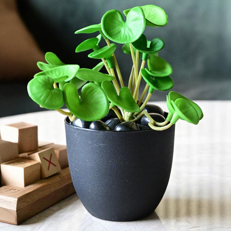 Pennelle Artificial Pennywort Leaf With Black Plastic Pot (Dark Green) - 13 cm media 3
