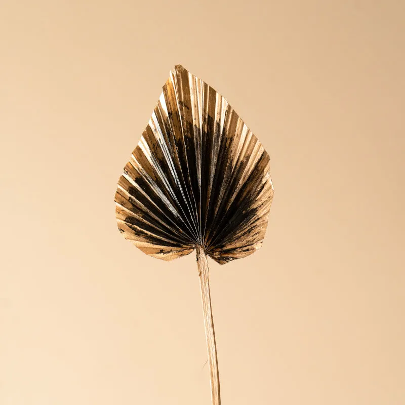 Dried Dual Tone Palm Leaf (Golden Black) - Set Of Five media 4