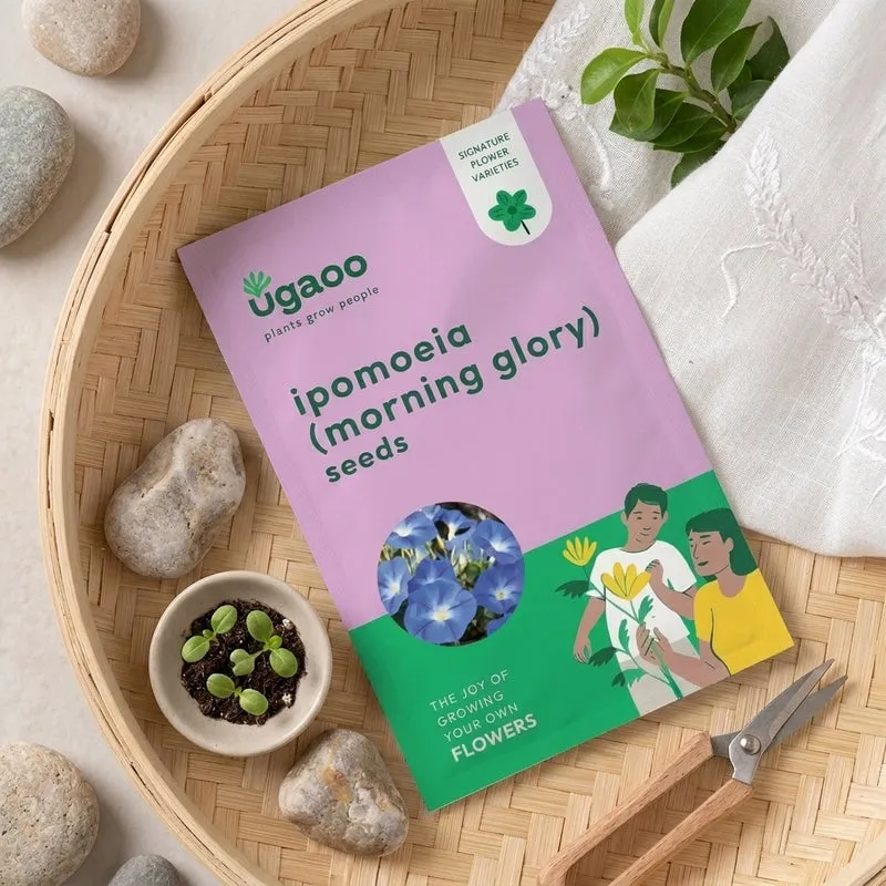 Ugaoo Ipomoea Seeds media 1
