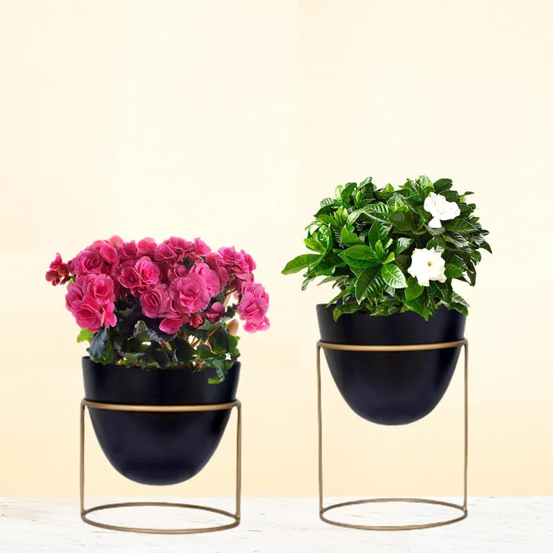 Trudene Metal Pot With Stand (Black & Gold) - Set Of Two media 4