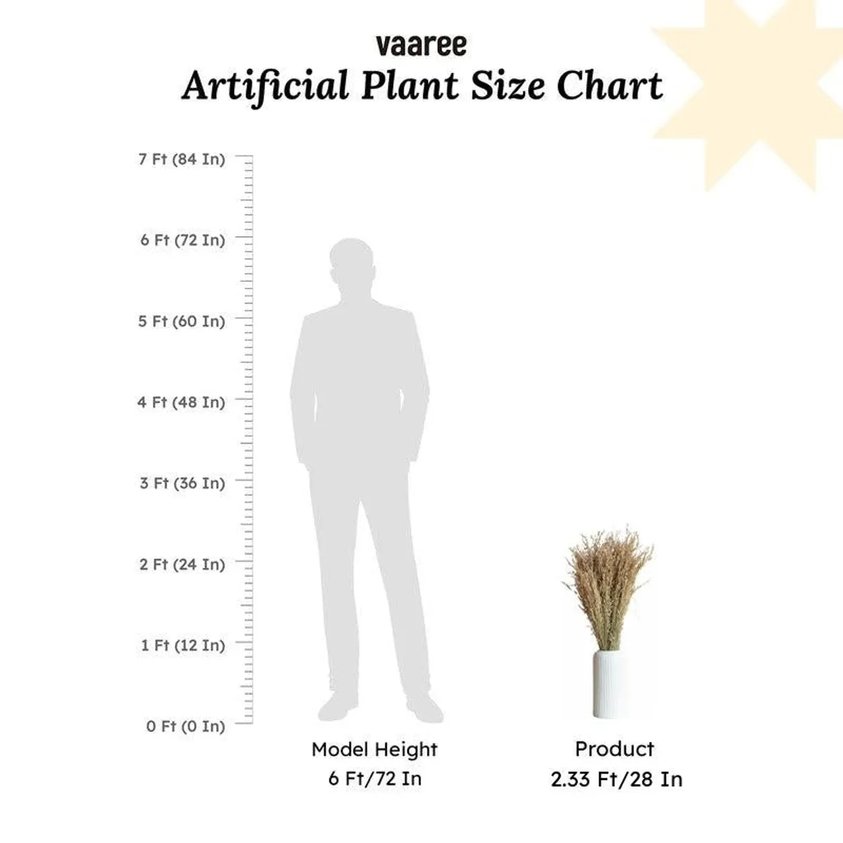 Brown dried grass arrangement shown beside a height comparison figure.