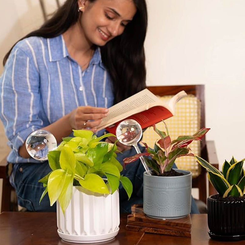 Kyari Cambium Metal Planter media 3