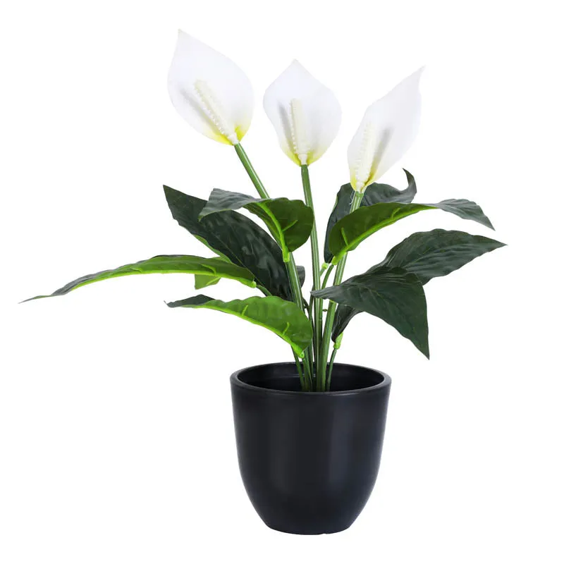 Onyx FRP Pot (Set Of Four) - 5 Inch media 4