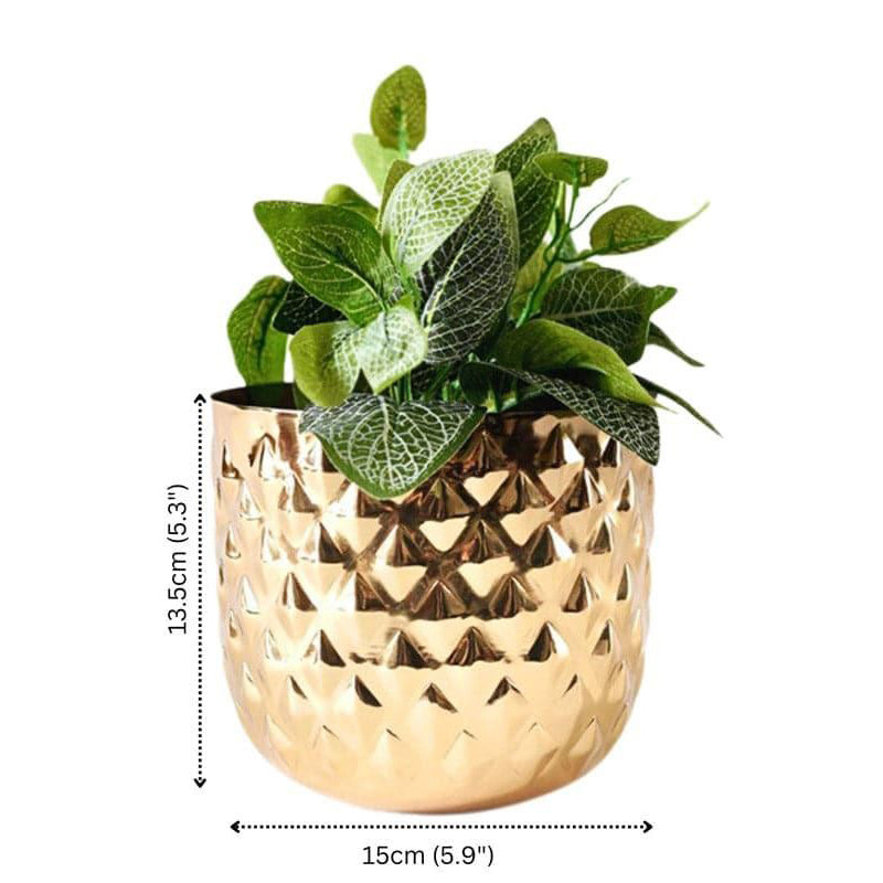 Pineapple Poga Planter media 6
