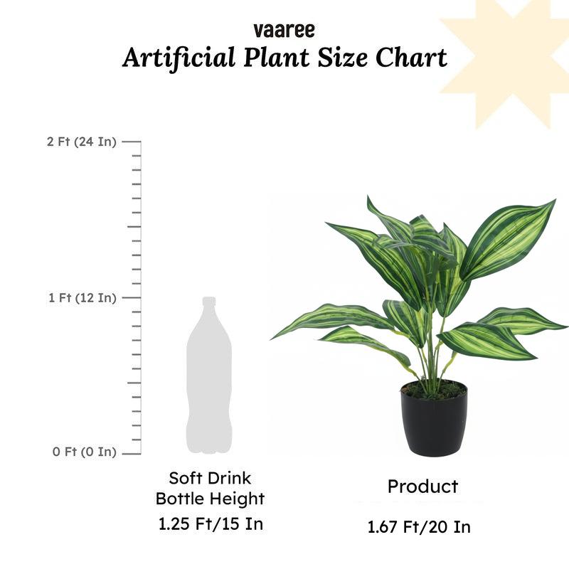 Faux Leopard Lily Plant With Black Plastic Pot (50 cms) - Set Of Two media 6