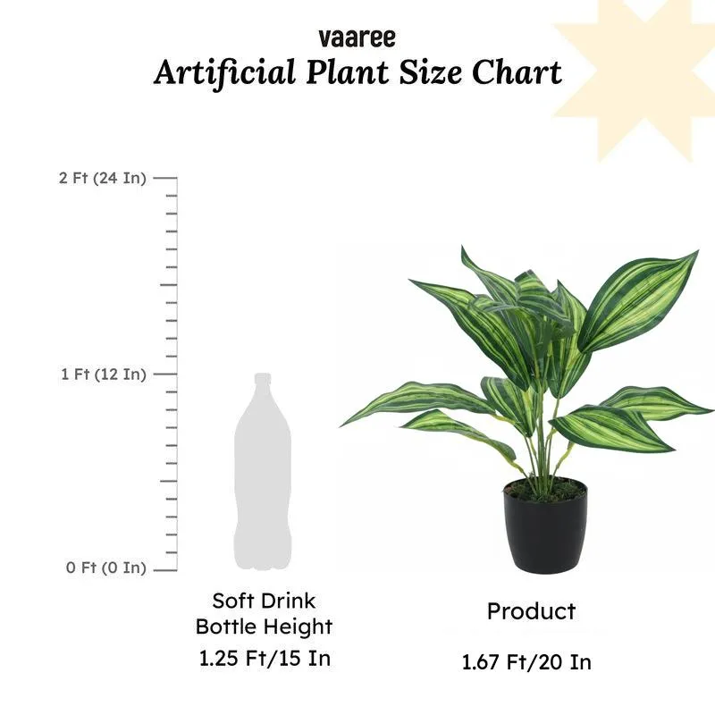 Faux Leopard Lily Plant With Black Plastic Pot (50 cms) - Set Of Two media 6